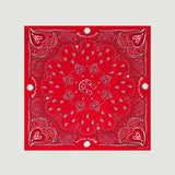 Silk bandana