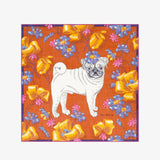 INOUI EDITIONS SHAWL