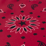 CALL IT BY YOUR NAME Silk Bandana - STAR