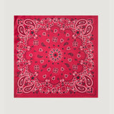 CALL IT BY YOUR NAME Silk Bandana - STAR